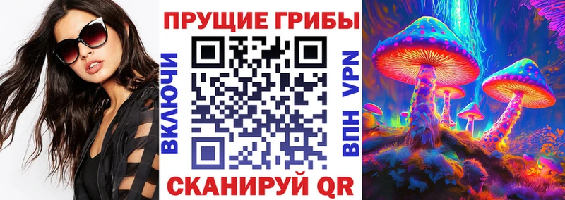 Псилоцибиновые грибы мицелий Луховицы