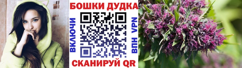 Бошки Шишки VHQ  Купить  Луховицы 